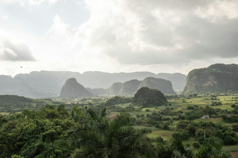 carlos-torres-DnLXkeaJDFw-unsplash